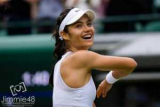 WTA ����������� ���������� �� ������ � ��������� ������� ����������� ����