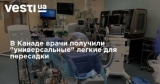 � ������ ����� �������� 